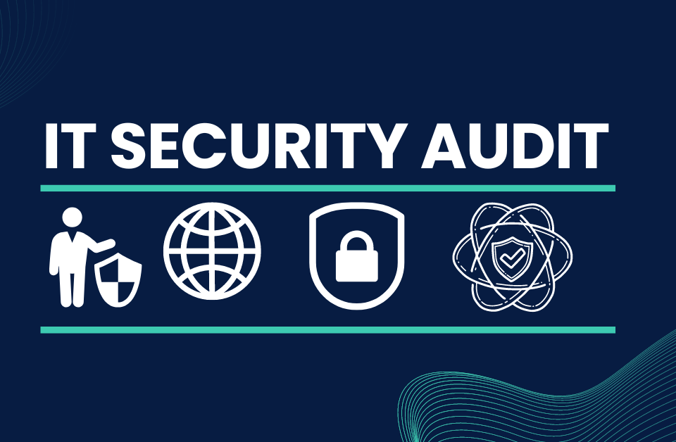 IT Security Audit